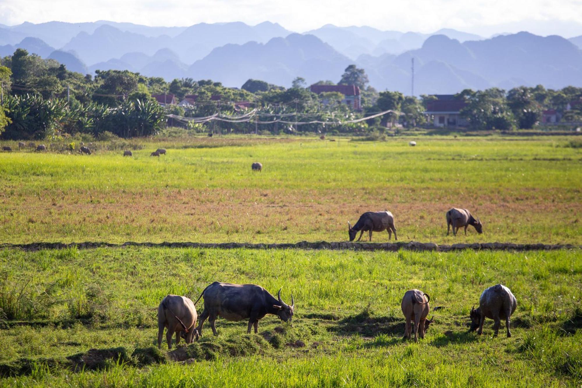 Phong Nha Farmstay Экстерьер фото