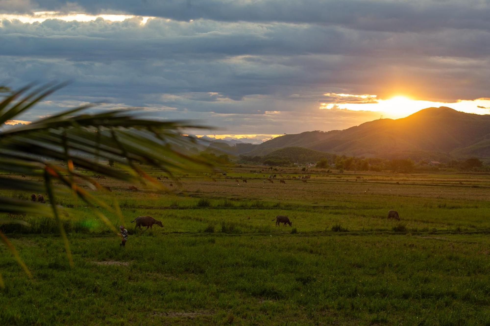 Phong Nha Farmstay Экстерьер фото